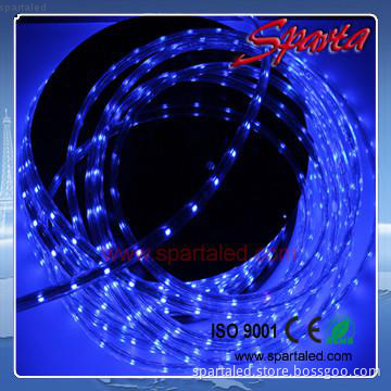 5050 high voltage 220V led strip light waterproof IP65 blue color